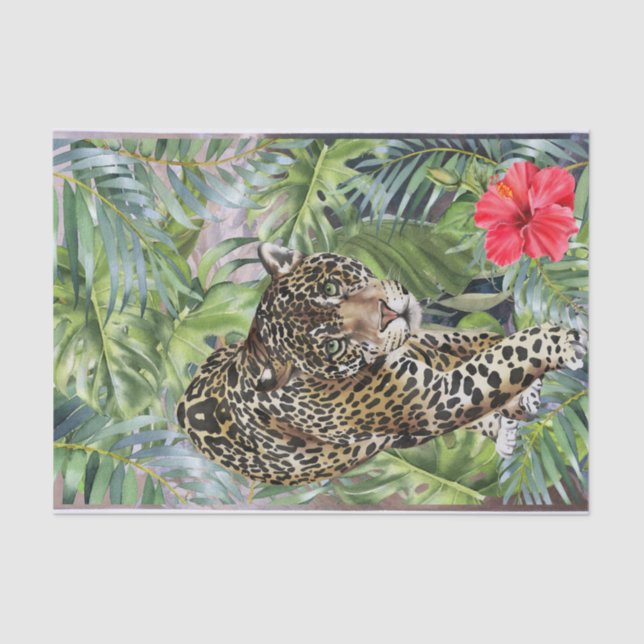 Leopard Cat Tissue Paper (Front)