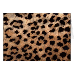 Leopard Cheetah Animal Print Girly Modern Trendy
