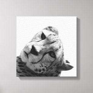 Leopard cheetah wild animal photo black and white canvas print