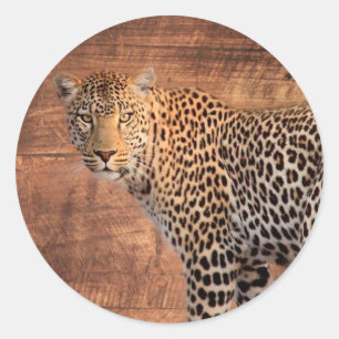 Leopard Classic Round Sticker