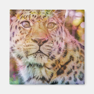 Leopard Close Up Photograph Magnet