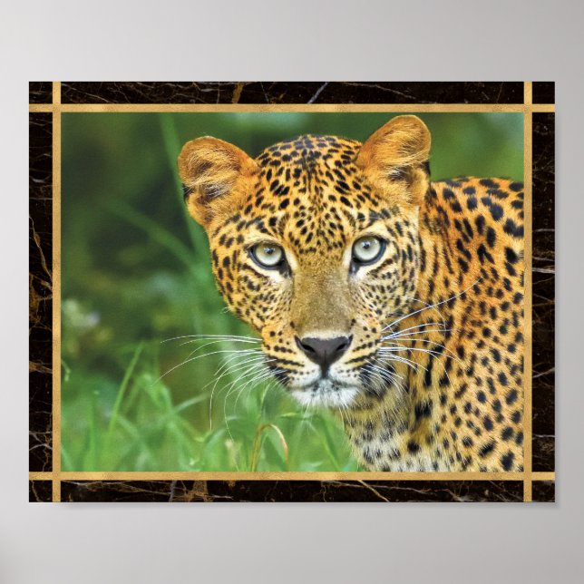 Leopard Closeup Photo Image Print Poster (Front)