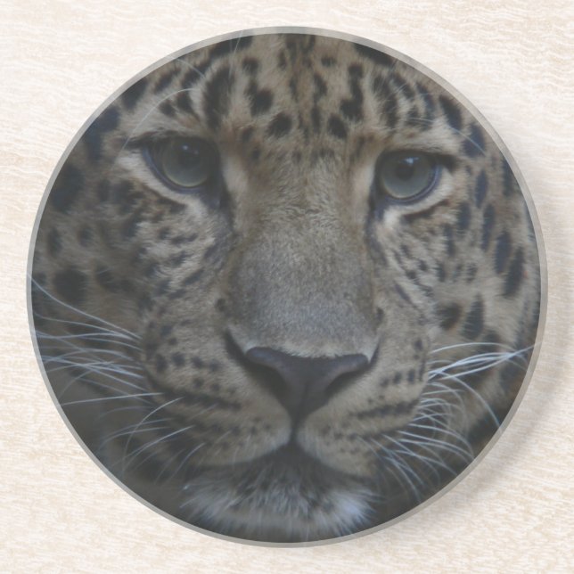 Leopard Coasters (Front)