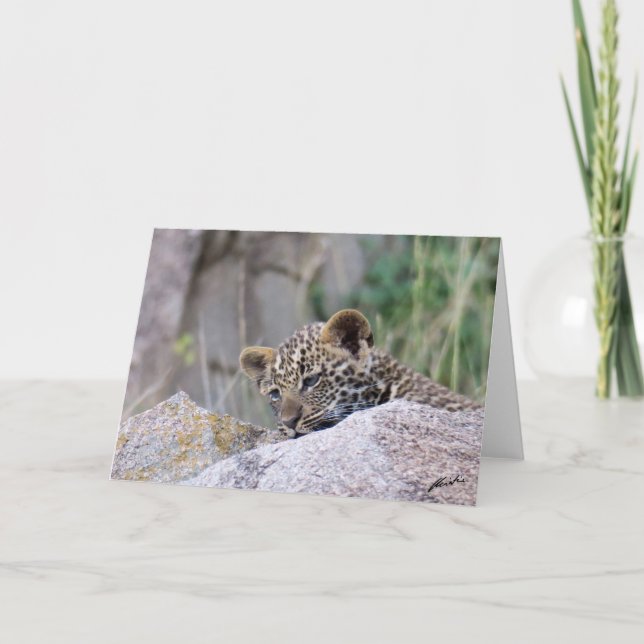 Leopard Cub Card (Front)