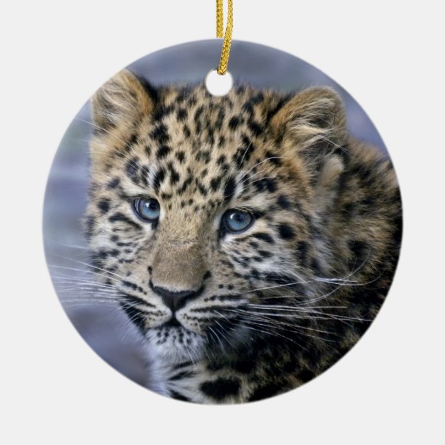 Leopard Cub Ornament (Front)