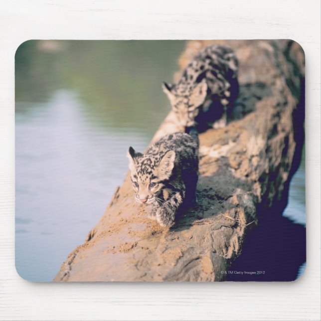 Leopard cubs on log mouse pad (Front)