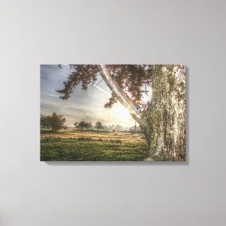 Leopard Doll in a Tree Canvas Print