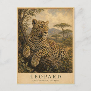 Leopard East African Woodlands VINTAGE Postcard