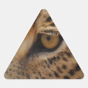 Leopard Eye Triangle Sticker