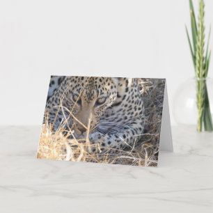 LEOPARD FACE CLOSE-UP CARD