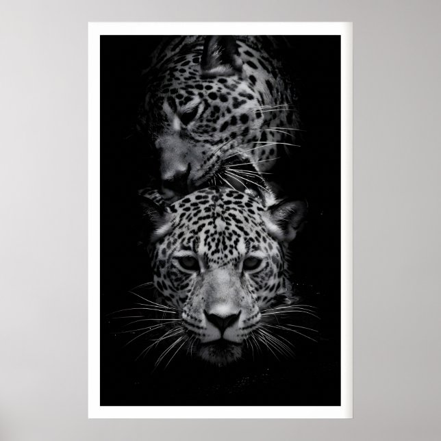 Leopard Faces Print Black and White Wildlife Art (Front)