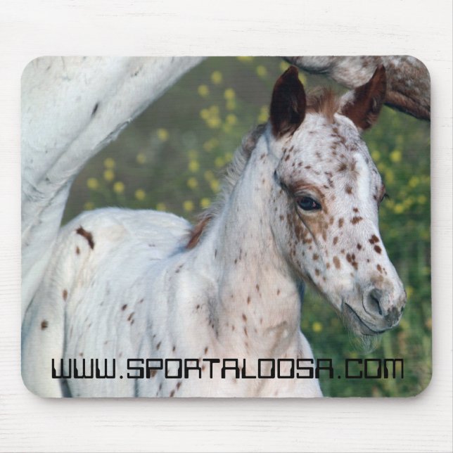 Leopard Filly Mouse Pad (Front)