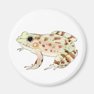 Leopard Frog Magnet