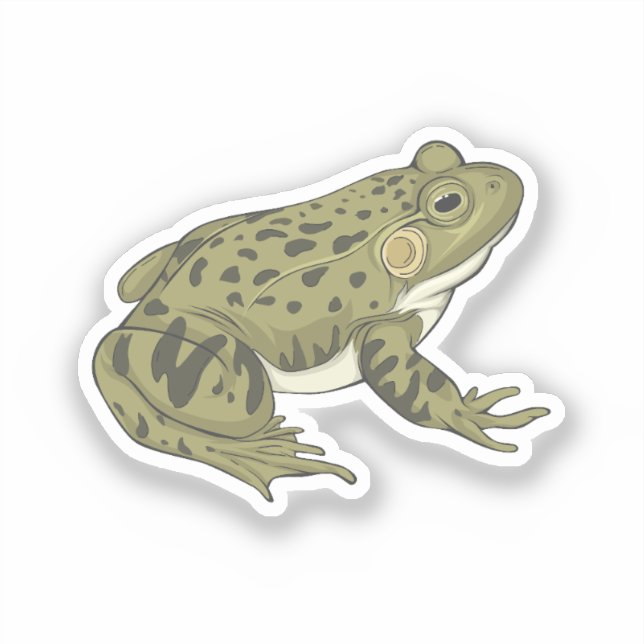 Leopard frog vector illustration (Front)