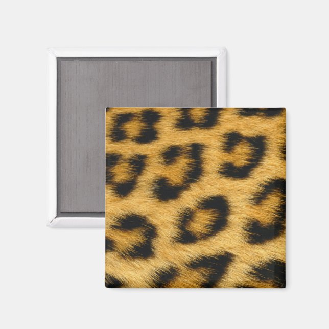 Leopard Fur Magnet (Front/Back)