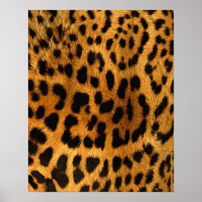 Leopard Fur Print (Front)