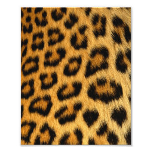 Leopard Fur Print