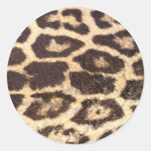 Leopard Fur Spots Cloth Classic Round Sticker