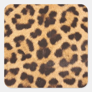 Leopard Fur Spots Pattern Square Sticker