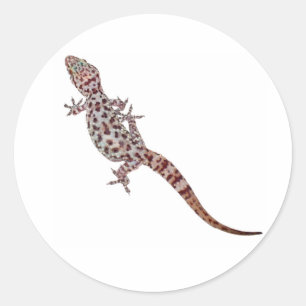 Leopard Gecko Classic Round Sticker