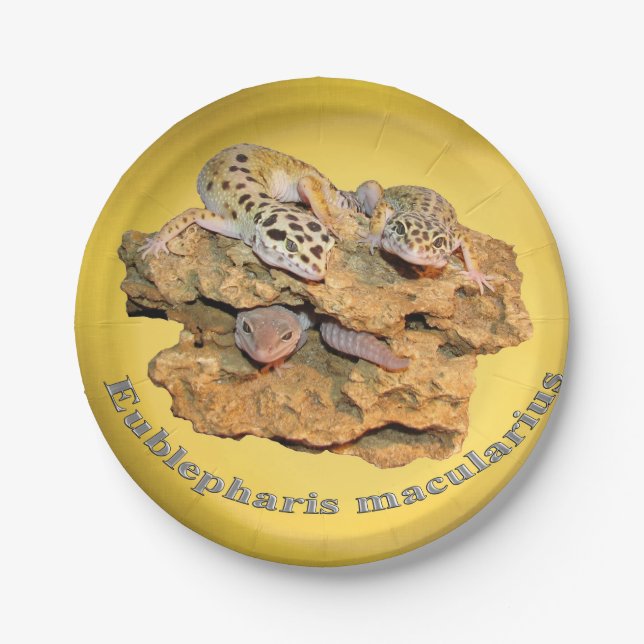Leopard gecko design for all! paper plate (Front)