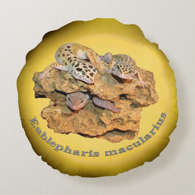 Leopard gecko design for all! round cushion (Back)