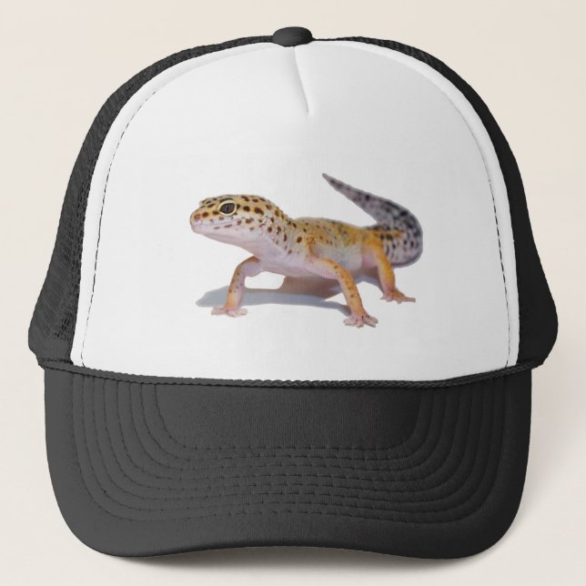 Leopard Gecko Hat (Front)