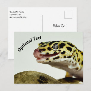 Leopard Gecko Postcard