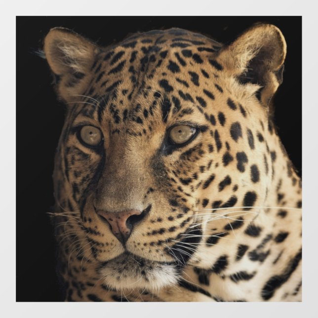 LEOPARD GLASS WINDOW CLING (Sheet)