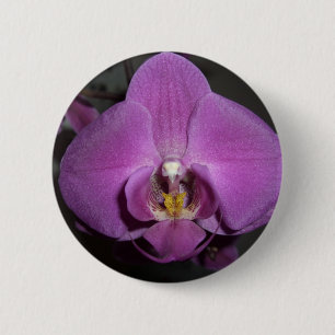 Leopard Head Yellow Purple Orchid 6 Cm Round Badge