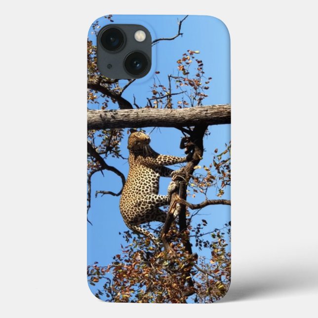 Leopard in a Tree in Africa Case-Mate iPhone Case (Back)