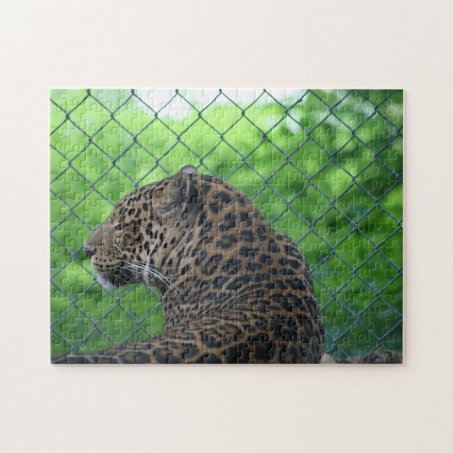 Leopard in Captivity Jigsaw Puzzle (Horizontal)