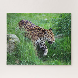 Leopard in grass Puzzle