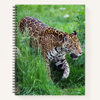 Leopard in grass Spiral Notebook