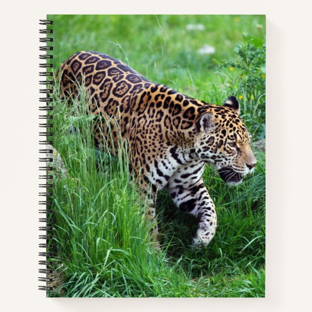 Leopard in grass Spiral Notebook (Front)