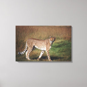 Leopard in plain canvas print