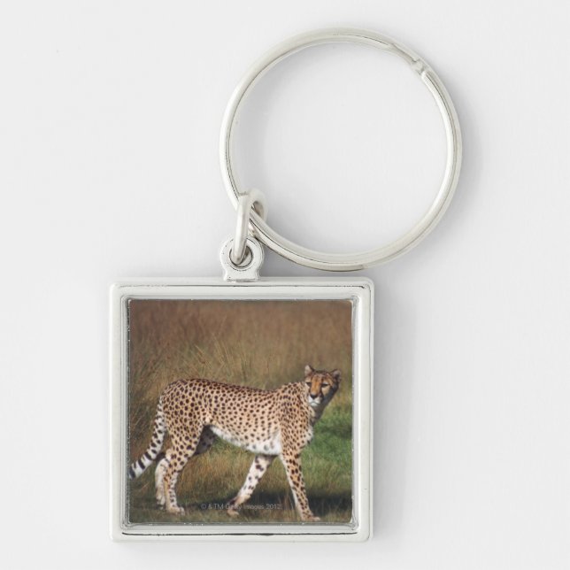 Leopard in plain key ring (Front)
