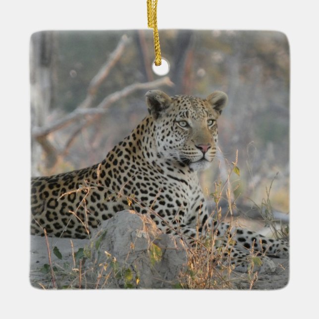 LEOPARD IN REPOSE CERAMIC ORNAMENT (Front)