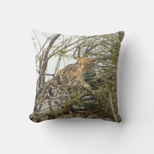 Leopard in Tree Cushion