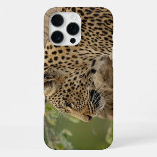 Leopard iPhone 16 pro max case
