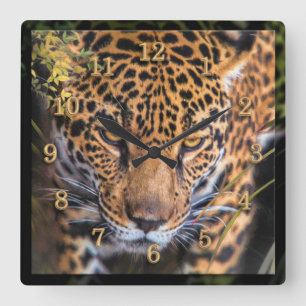 LEOPARD JUNGLE ENCOUNTER SQUARE WALL CLOCK