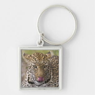 Leopard Key Ring