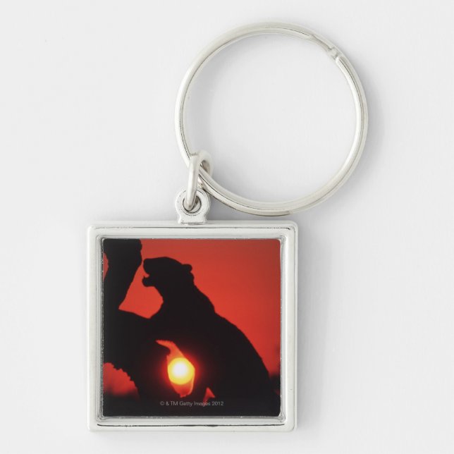 leopard key ring (Front)