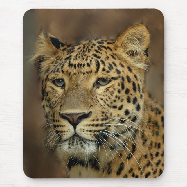 leopard lovers art mouse pad (Front)