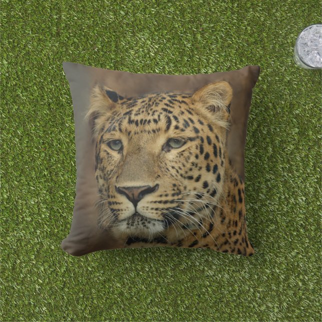 Leopard Lovers Wildlife Cushion (Grass)
