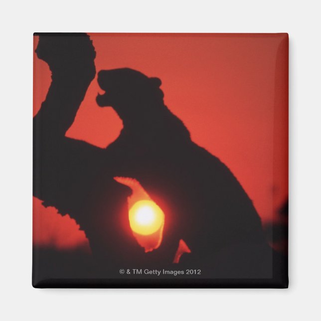 leopard magnet (Front)