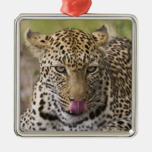 Leopard Metal Tree Decoration