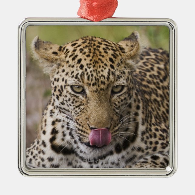 Leopard Metal Tree Decoration (Front)
