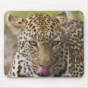 Leopard Mouse Pad