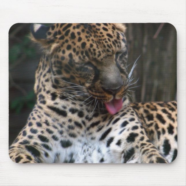 Leopard Mouse Pad (Front)